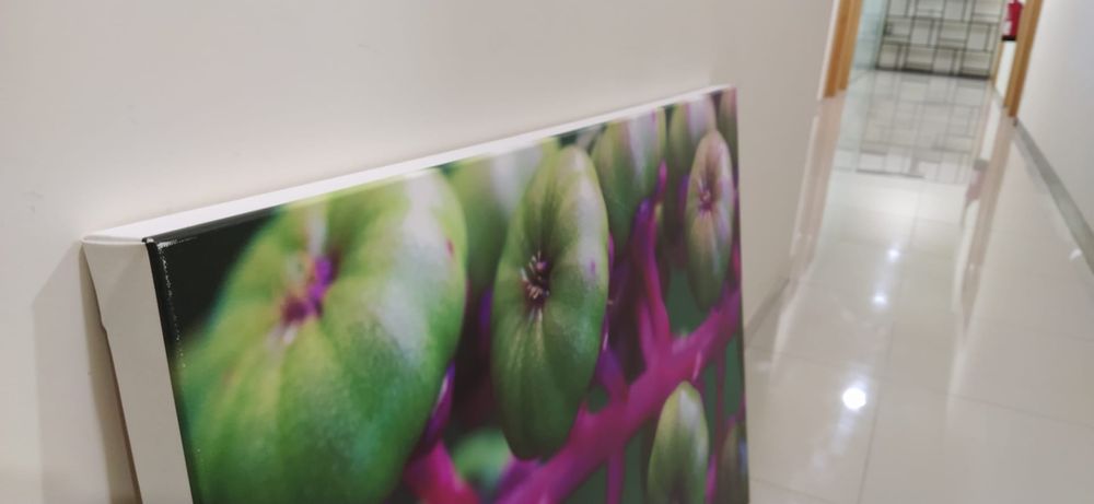 Tela / Quadro de foto real