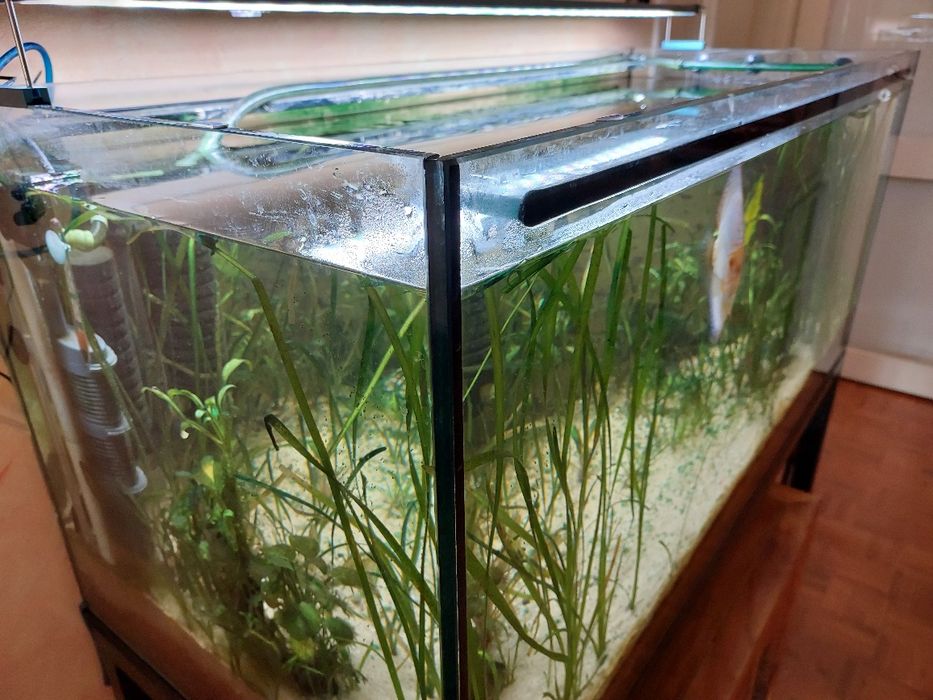 Aquario 120x50x50cm completo para venda