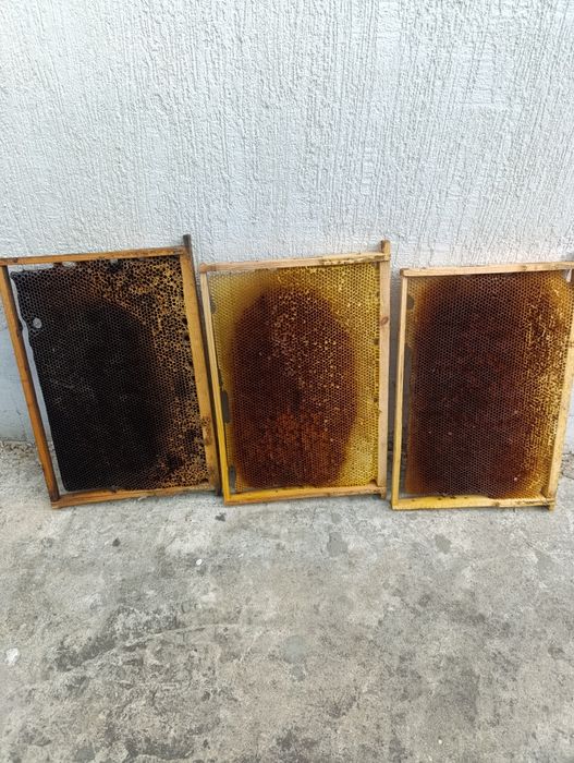 Суш, рамки для вулика