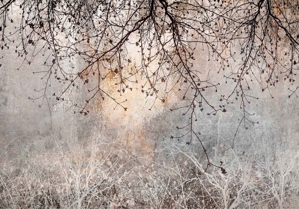 Fototapeta drzewa galazki boho na scianie 300x210