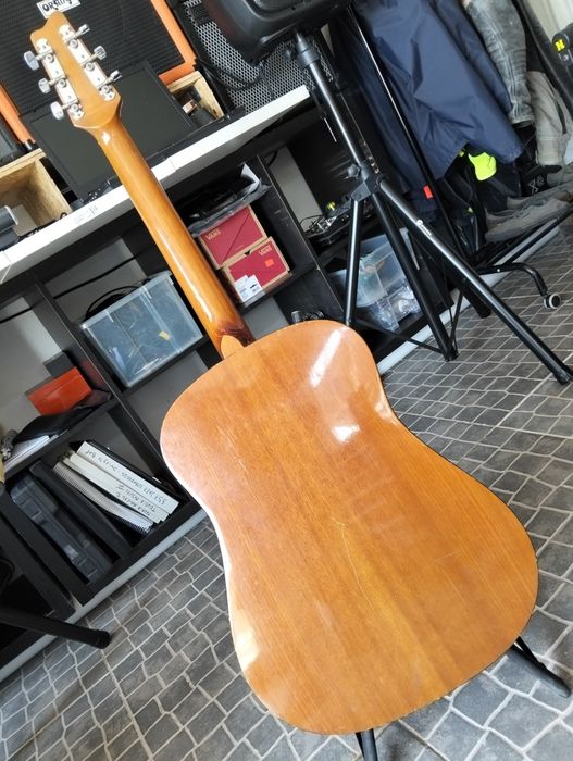 Viola Acústica 35 anos