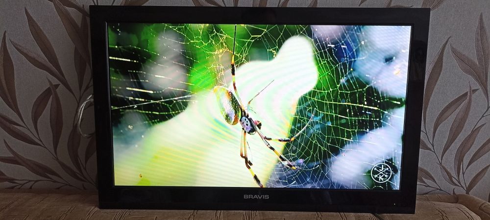 Телевізор Bravis 32 LED HD ідеальний стані