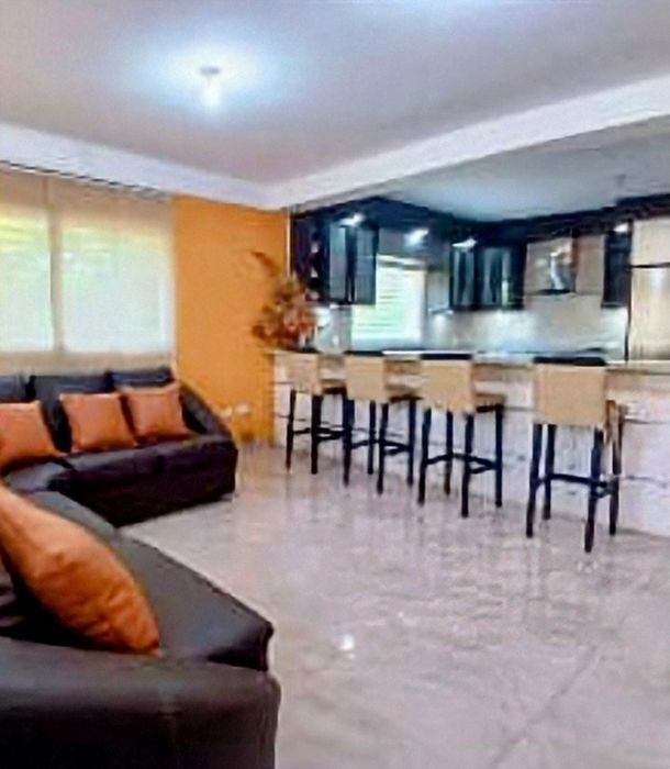 Pintura, Pladur, capoto obras geral