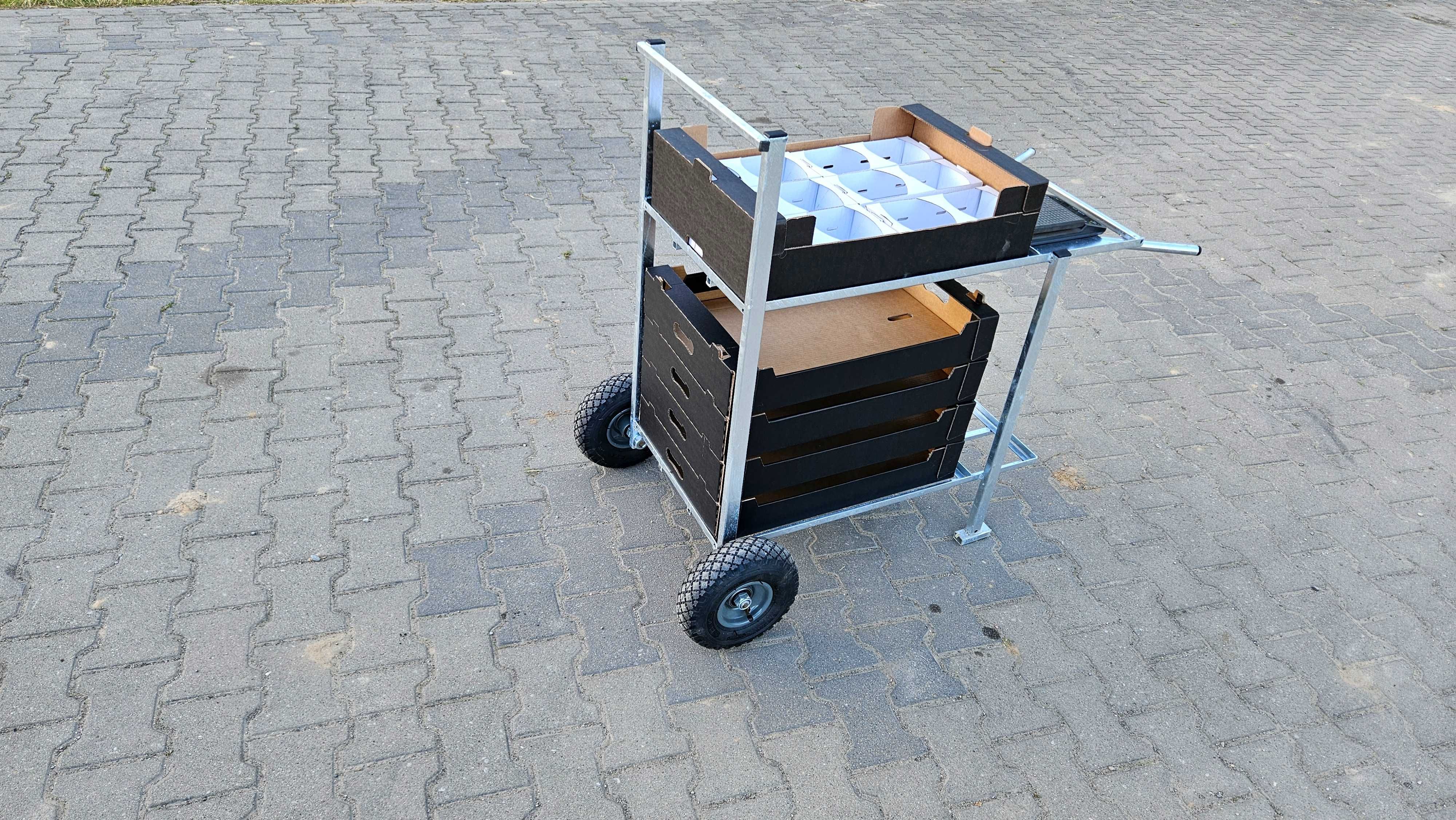 Wózek transportowy tunel wózeczki do zbioru borówka malin truskawki