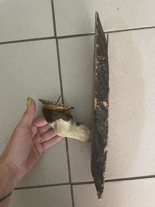 Підсвічники з копит тварин.