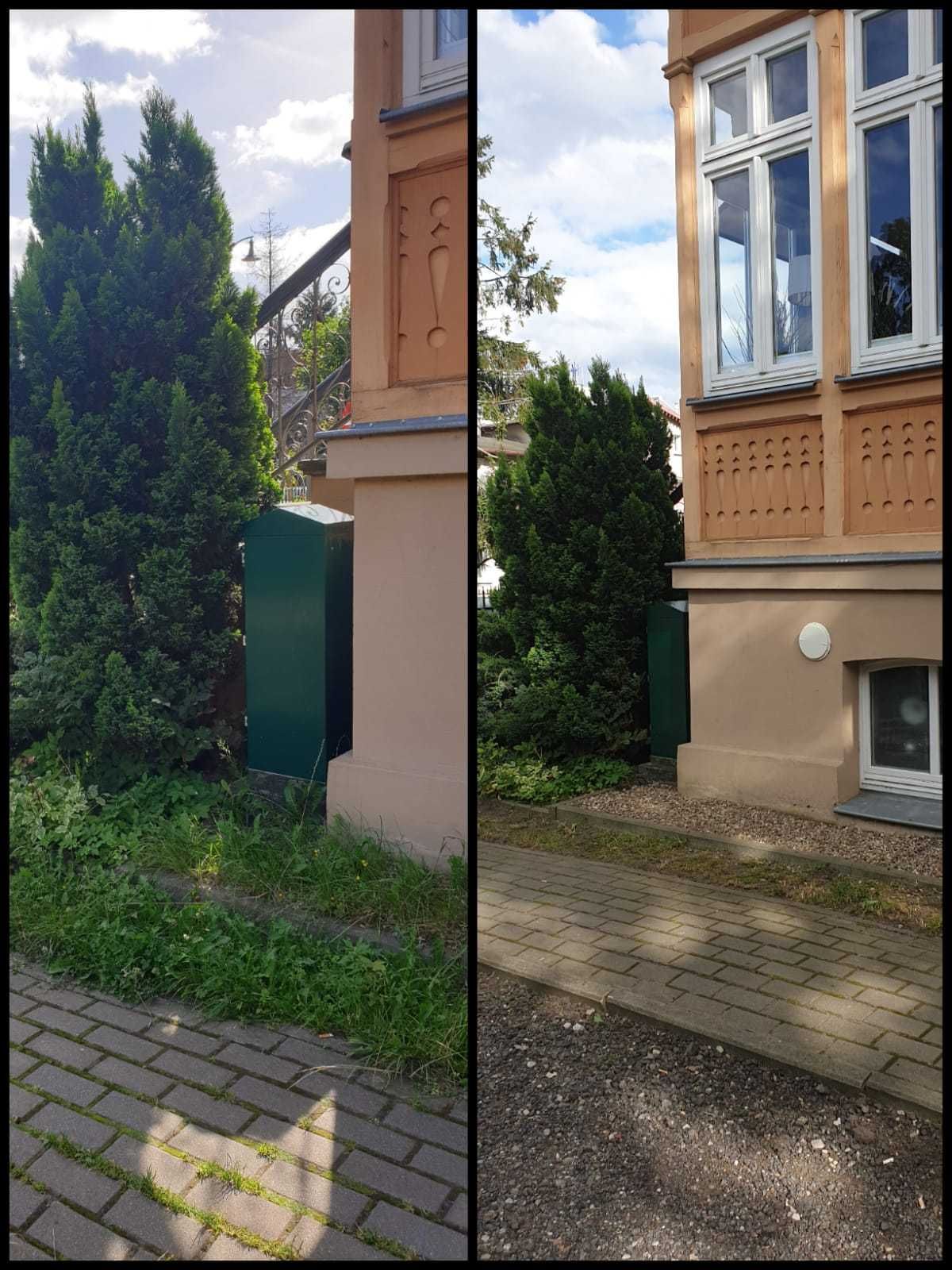 Koszenie trawy / Przycinanie krzewów / Pielęgnacja zieleni