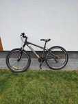 Rower Burghardt 26"