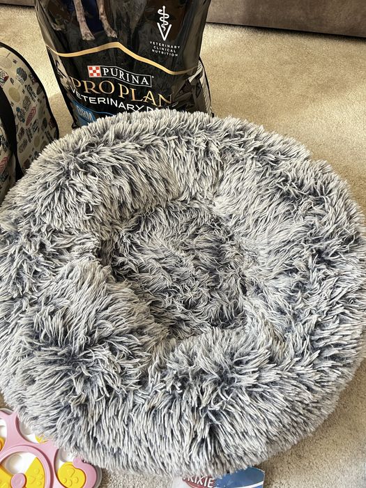 Ração para cão  Yorkshire