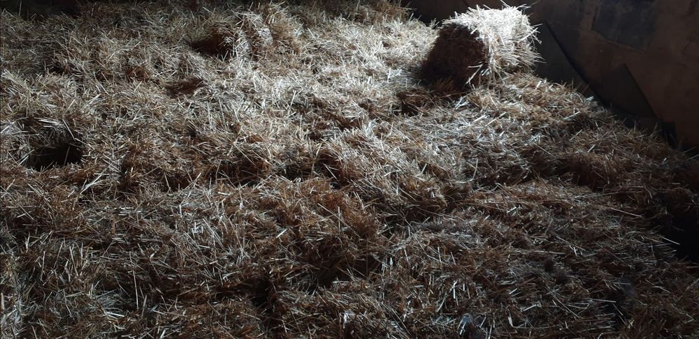 Słoma w kostkach 2025