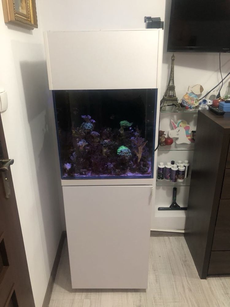 Akwarium opthi white 50x50x50+sump+szafka z koroną