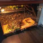 Terrarium full wyposażone okazja!!!