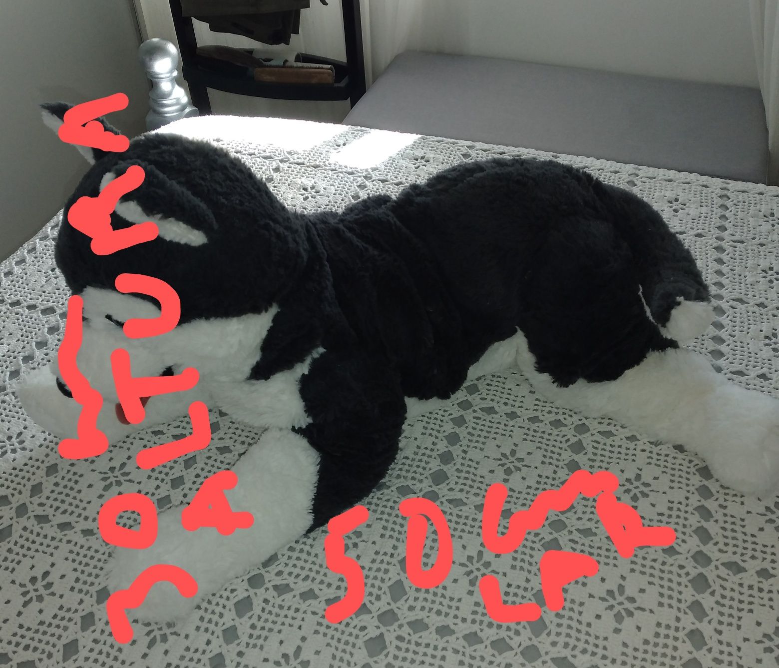 Peluches como novos