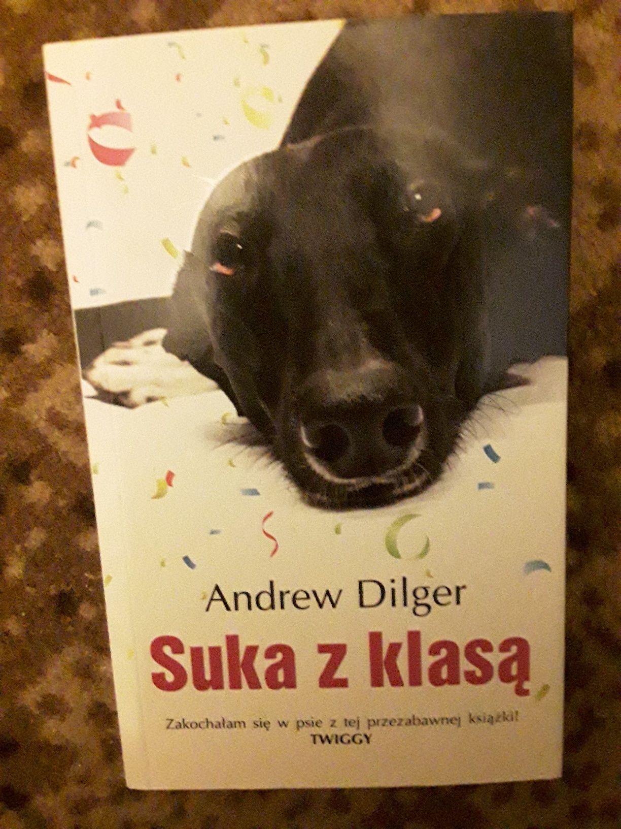 Suka z klasą Andrew Dilger