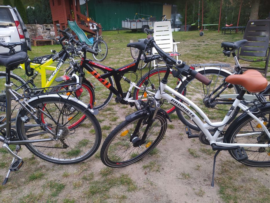 RowerCarver Cyco Kalkhoff City Star