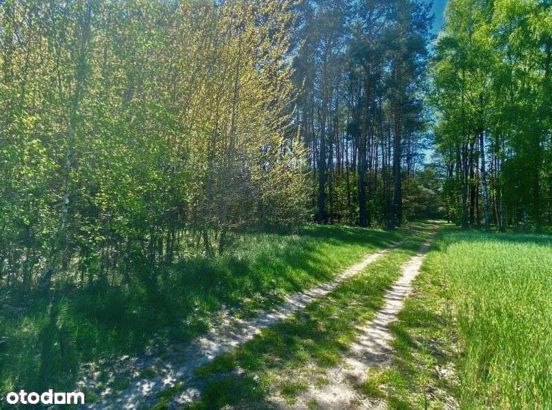 Atrakcyjna działka - Bolimowski Park Krajobrazowy