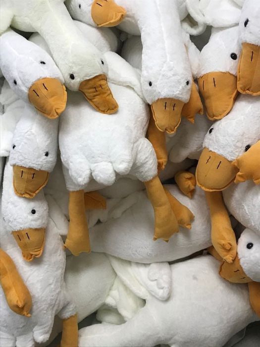 Гусь - обіймусь РОЗПРОДАЖ СКЛАДУ