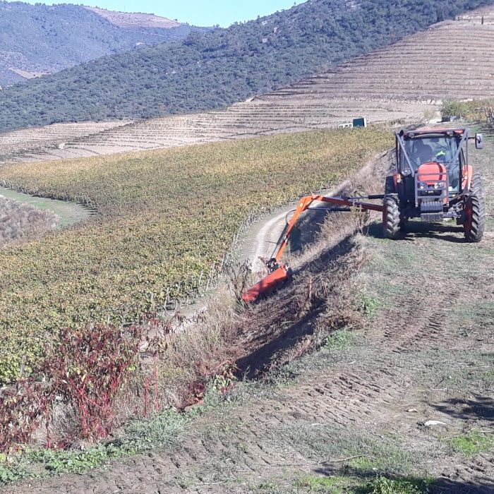 Desmatagem, Limpeza de Terrenos, Olivais e Vinhas