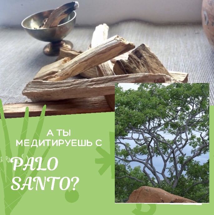 Благовоние Пало Санто Опт/Розница/Дроп из священого дерева Palo Santo