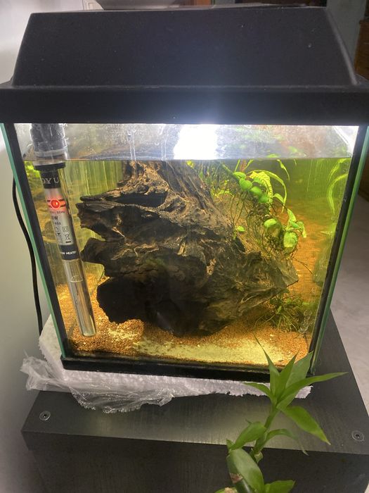 Aquário 60cm Completo
