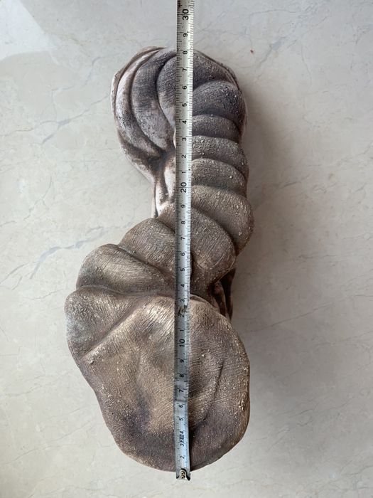 Остров-грот для рептилий