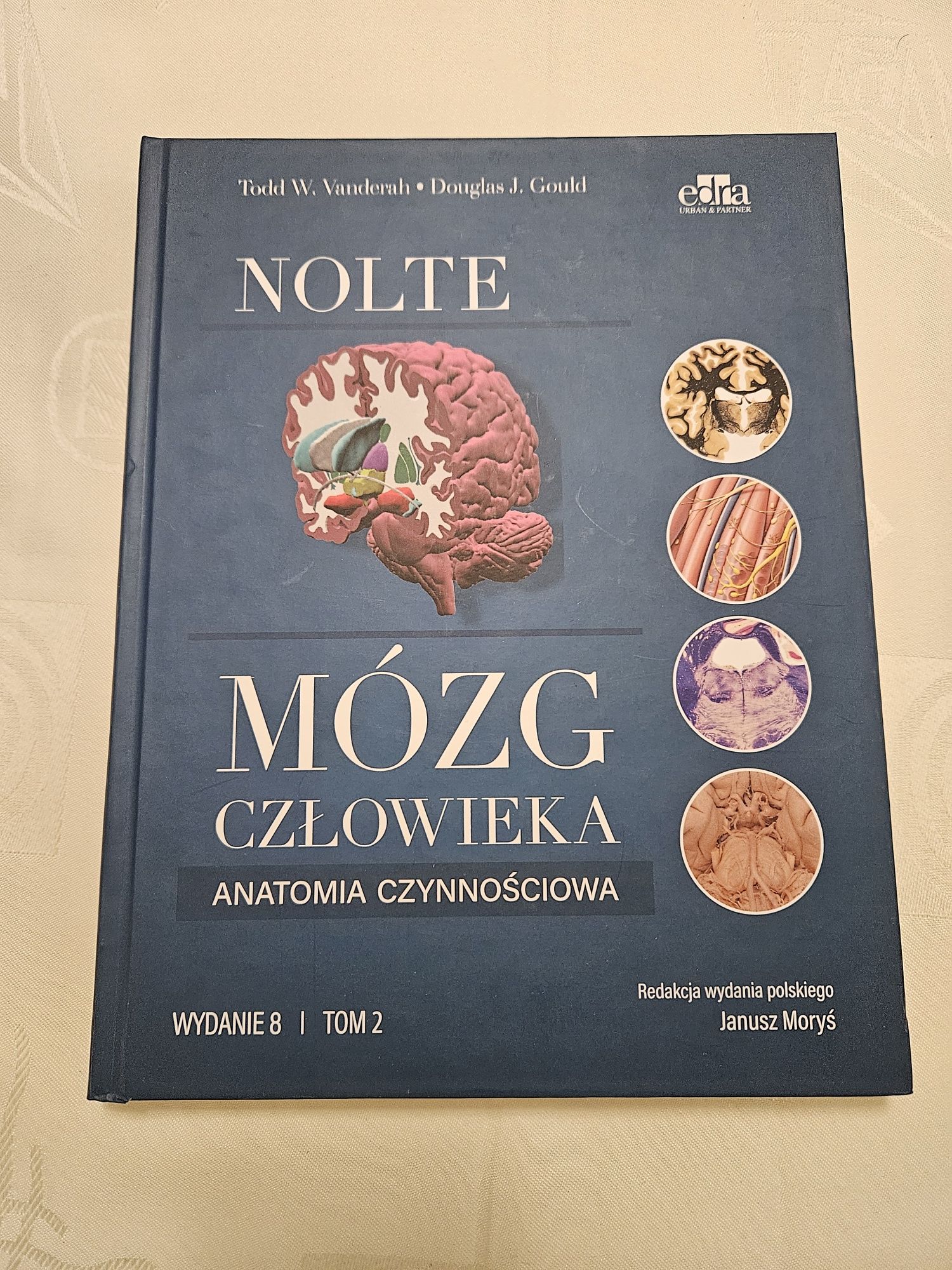 Mózg Człowieka,  Nolte, wydanie 8, tom 2