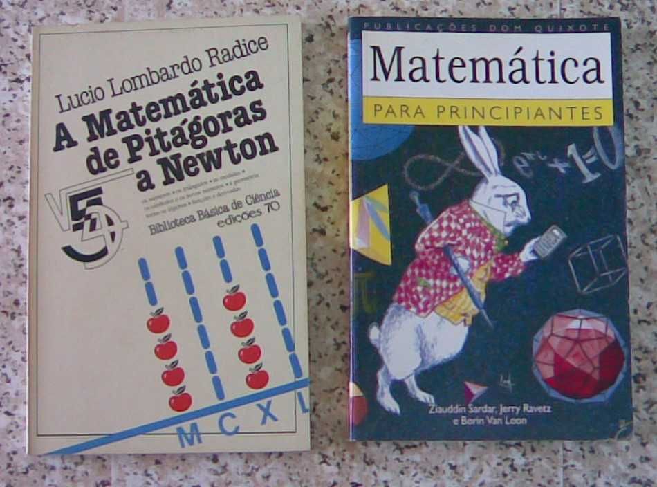 Matemática / Enigmas - Lote 11 livros - Venda individual