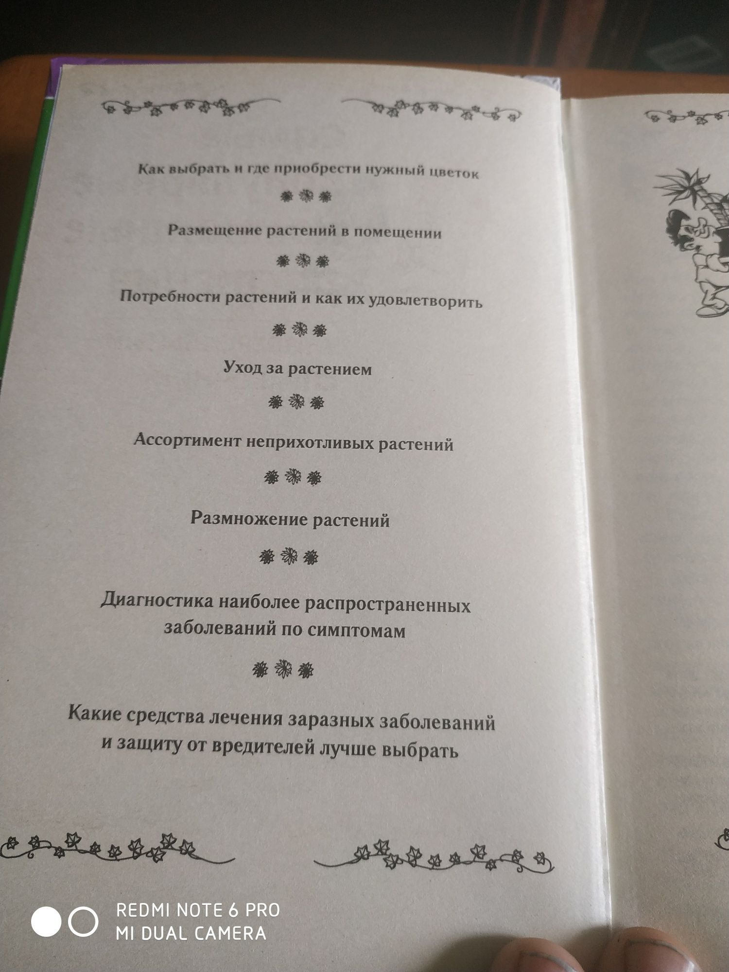 Книга "самые популярные комнатные растения"