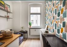 Kawalerka wilda Poznań