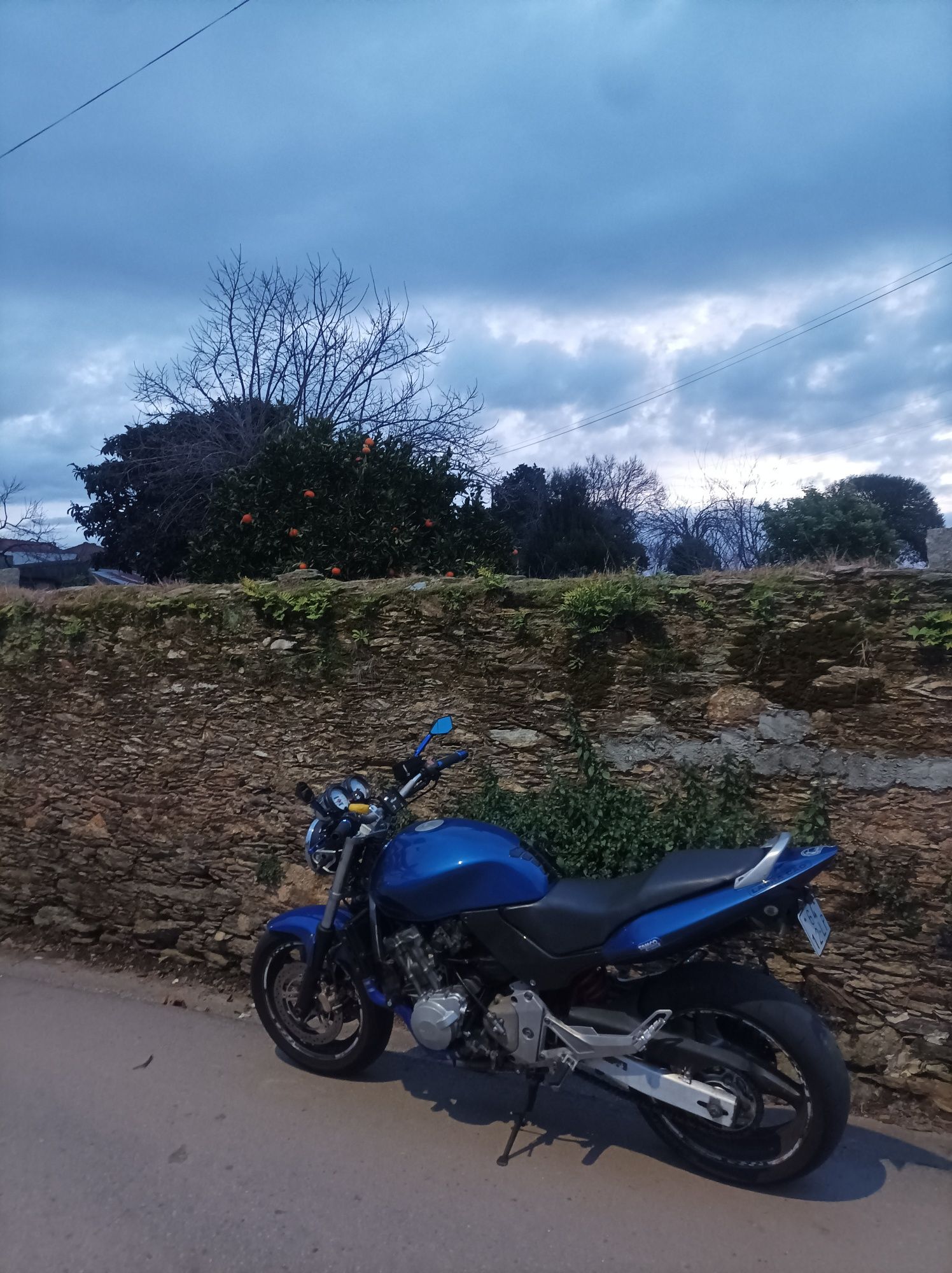 Hornet 600 25kw de livrete