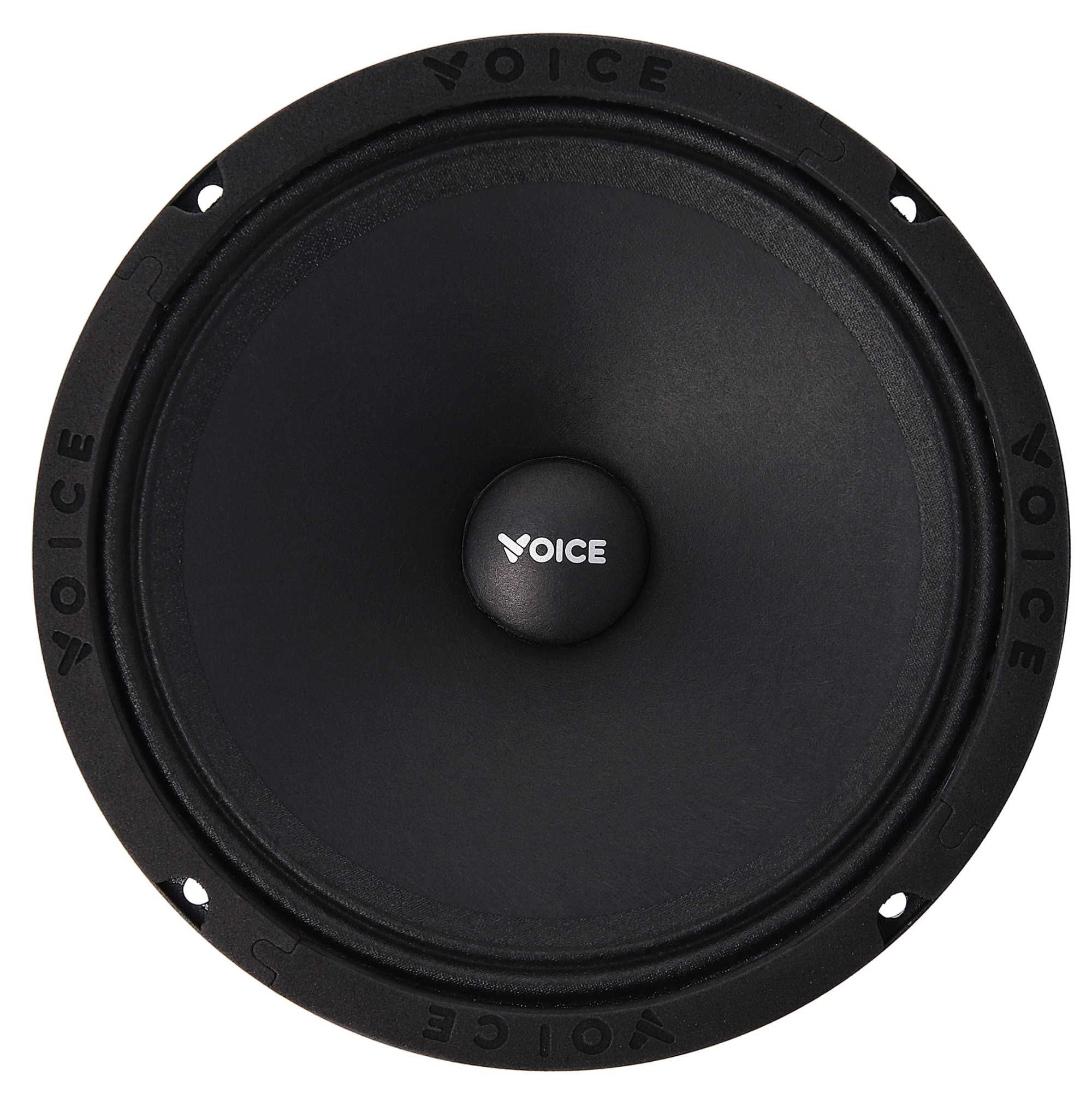 Естрадна акустика Voice SP-60A (пара)