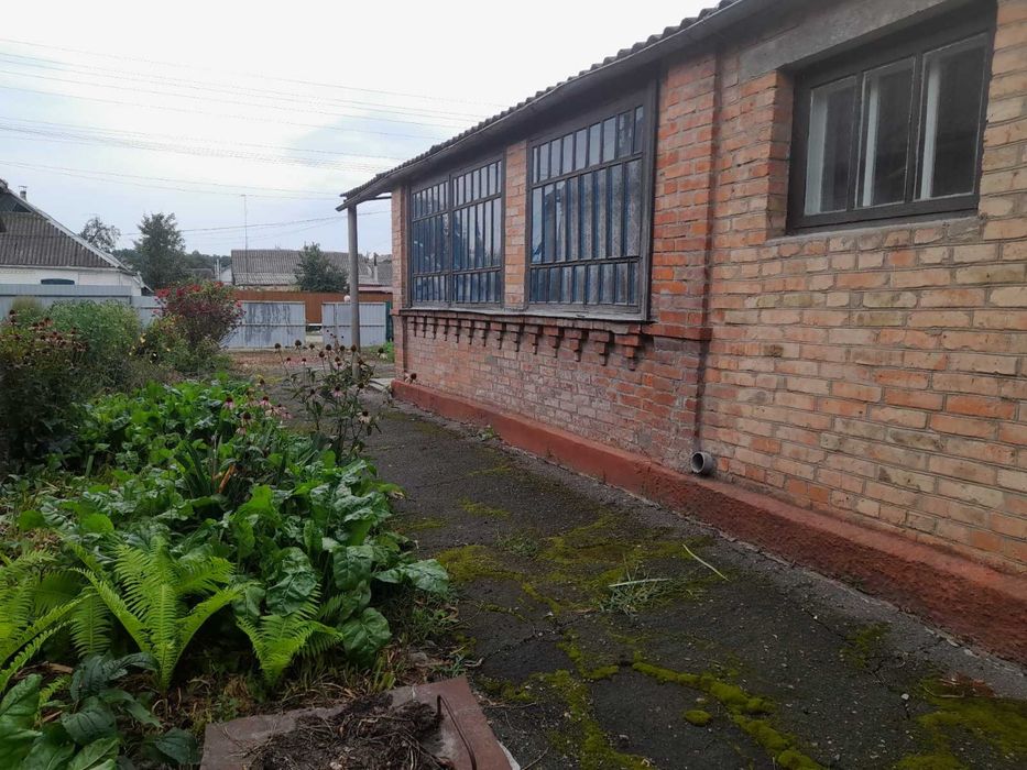 Продам будинок м. Сквира, по вулиці Січова