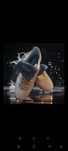 adidas Samba
Wales Bonner Ecrtin Brown