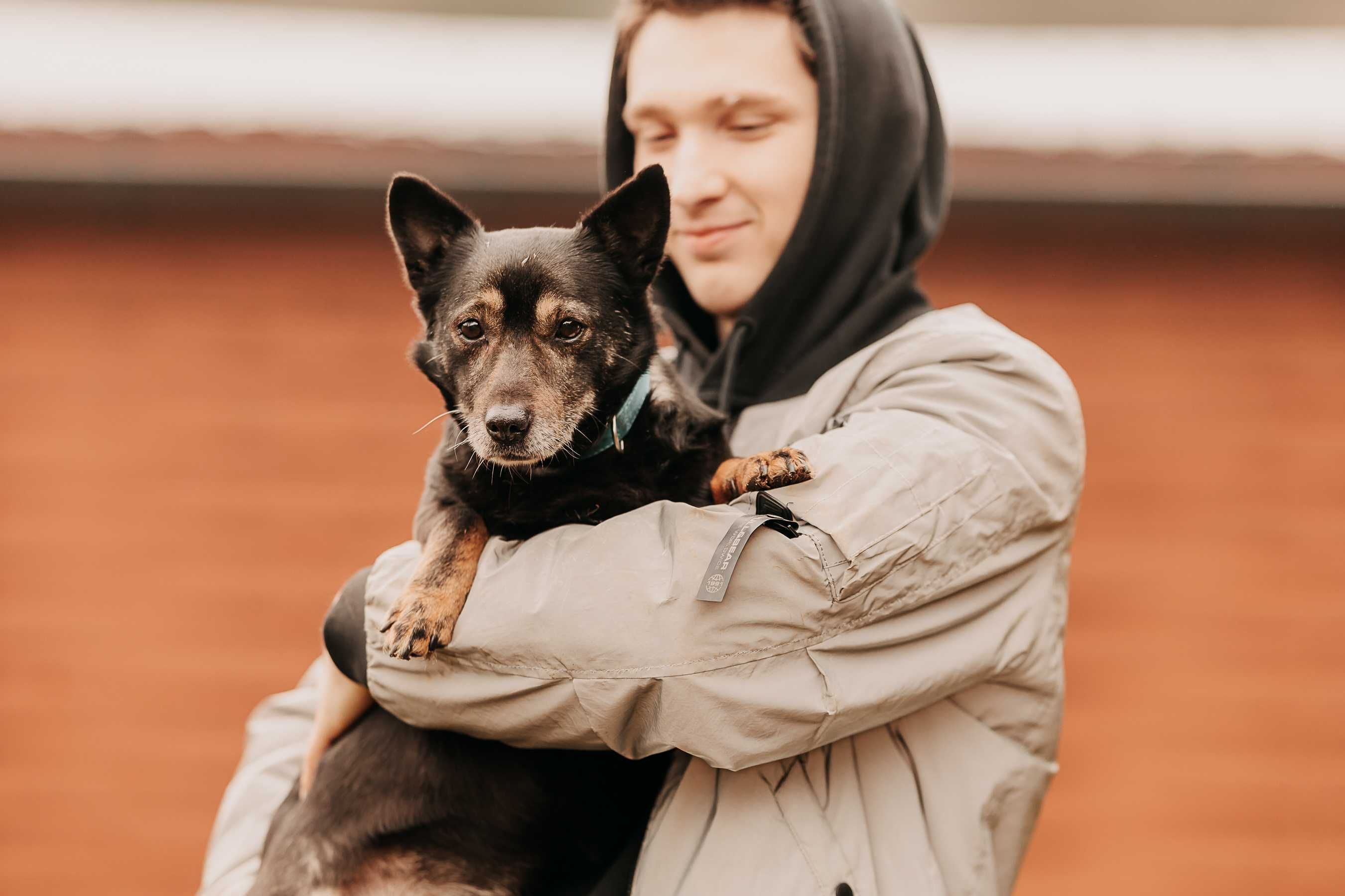 Draki - malutki kolankowiec poleca się do adopcji!!!