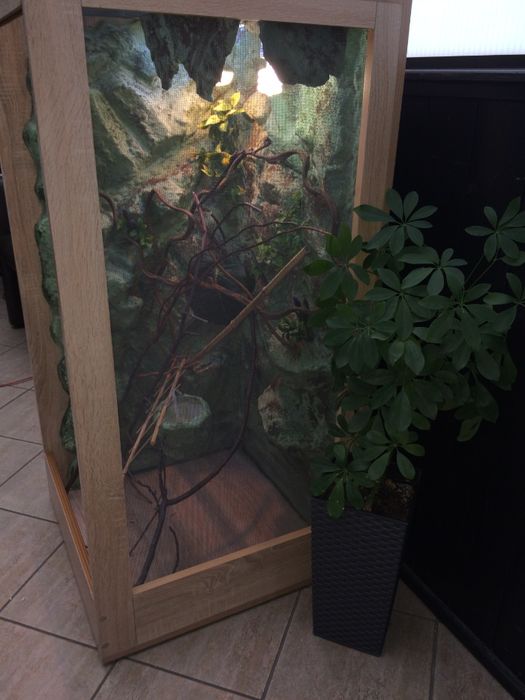 Terrarium tropikalne 60/60/120 dla kameleona NA ZAMÓWIENIE