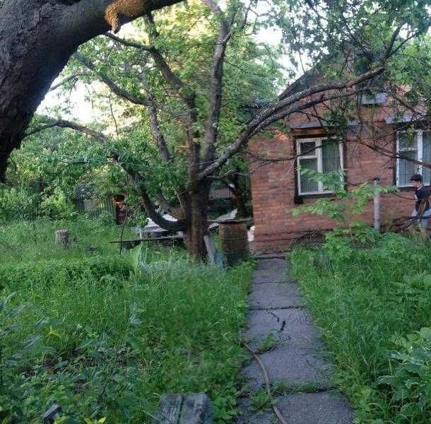 Міцний дачний будинок, Високий