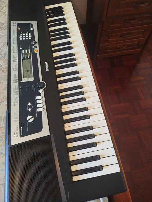 Teclado Yamaha YPT-210