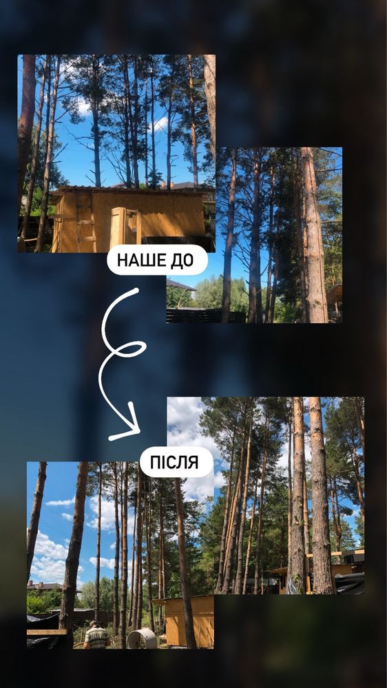 Безопасный спил, удаление, кронировка, чистка деревьев, участка, крыши