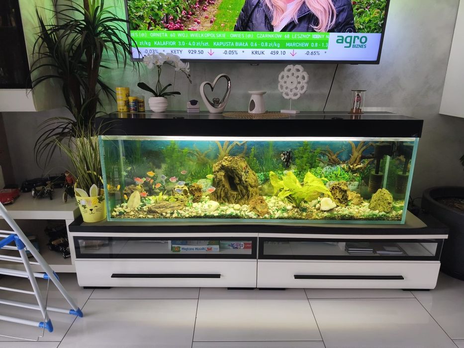 Akwarium 350 L ryby osprzęt cały zestaw