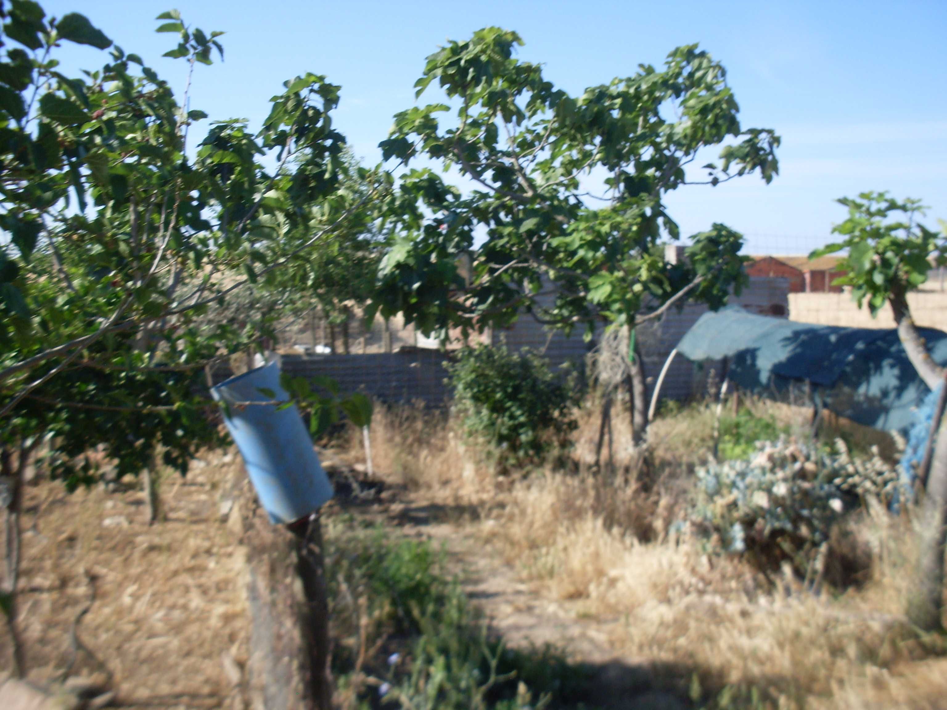 Pequena Quinta com agua de furo