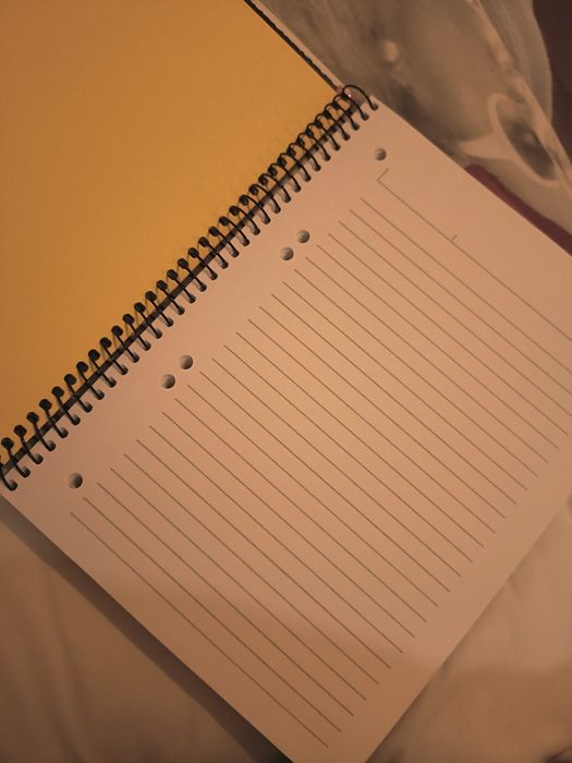 Caderno caveira mexicana - ambar