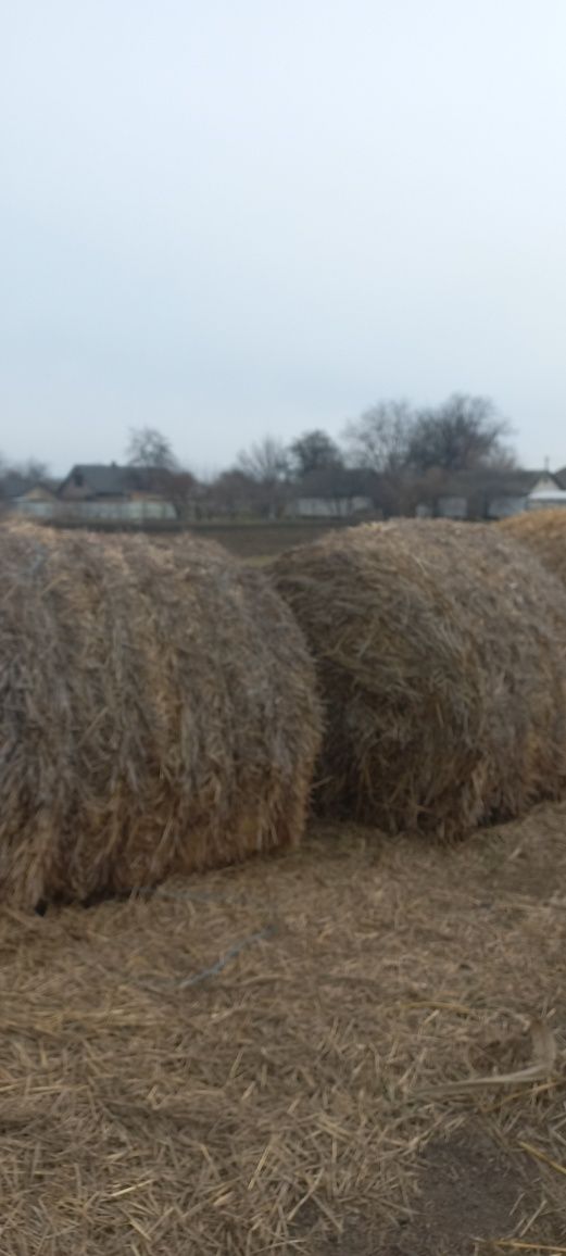 Продам солому,  ПДВ