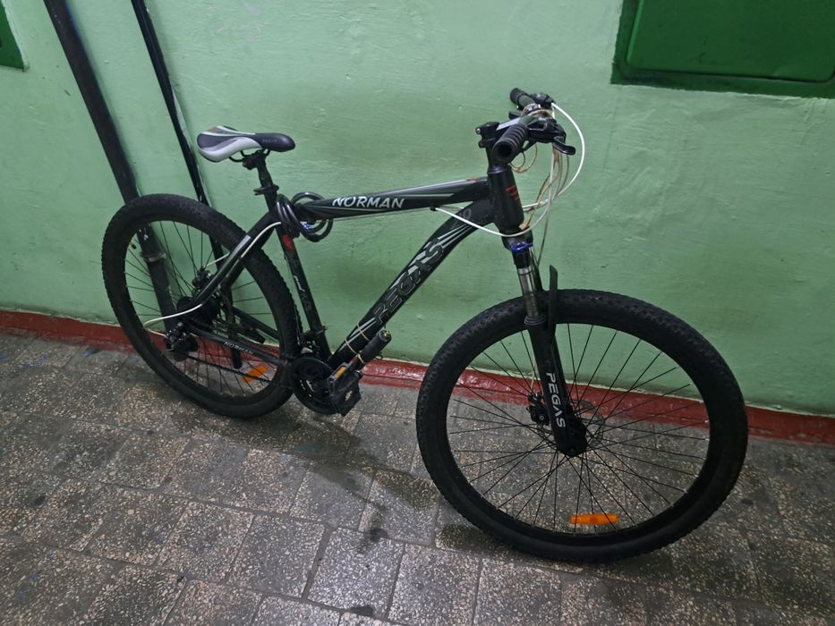 Велосипед Pegas Norman 29"