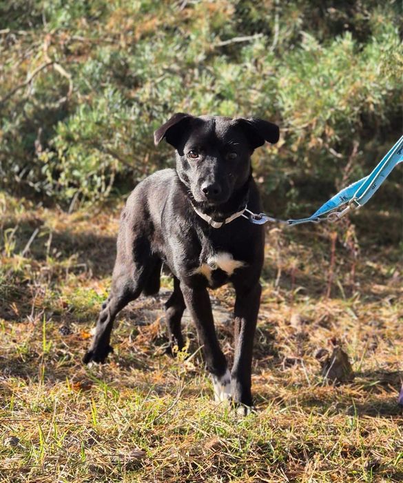 Kosmo marzy o locie prosto w twe ramiona!