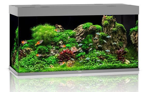 NOWE Akwarium Juwel Rio 350 LED, zestaw akwariowy