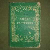 Книга о растениях Кон детгиз