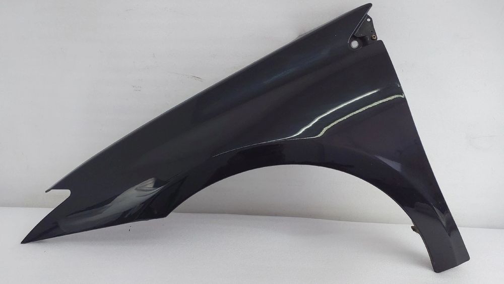 Guarda-lamas esquerdo RENAULT Laguna III Grandtour (KT0/1)