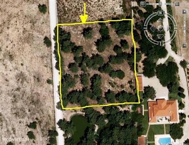 Azeitão / Brejos Azeitão Terreno 5000m2 .