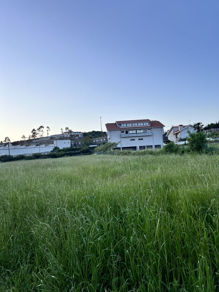 Fardos de palha 2025