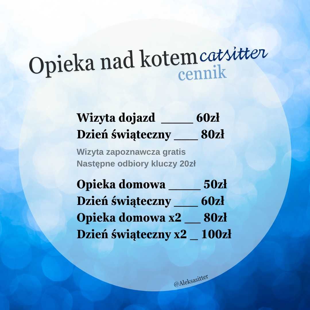 Opieka nad kotem - catsitter (petsitter, hotel)