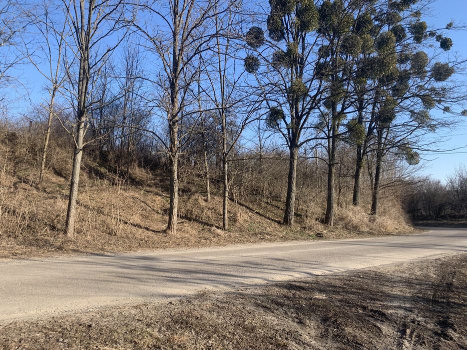 Земельна ділянка с. Рославичі !